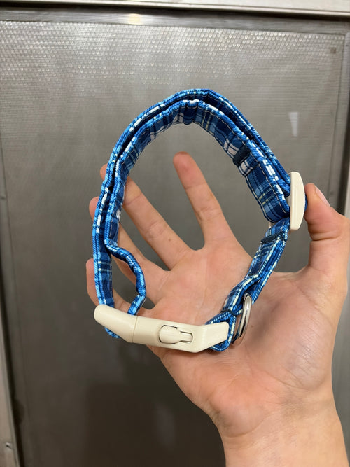 Blue s/m dog collar